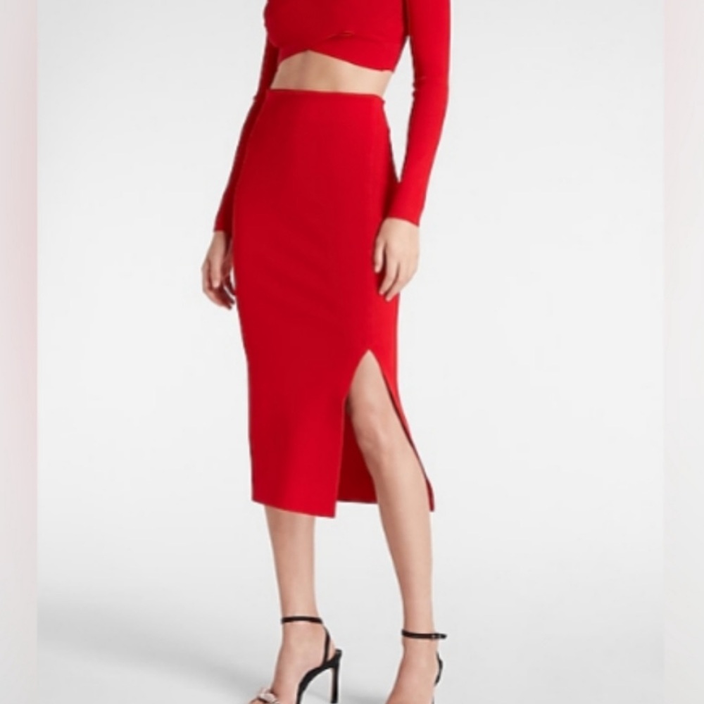 New with tag express skirt